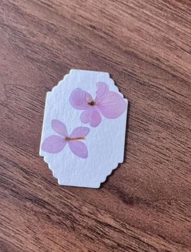 Pressed flowers from Maddie K.